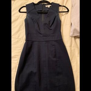 Fitted Sheath Dress